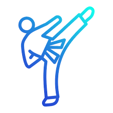 Taekwondo