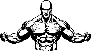 Musculation