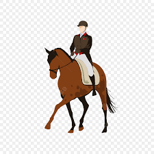 équitation