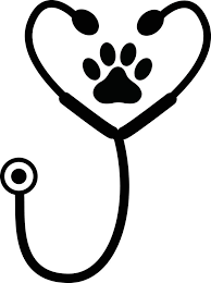 Médecin animalier mobile